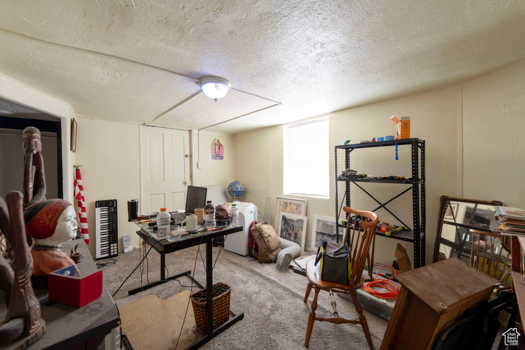 Carpeted office with a textured ceiling