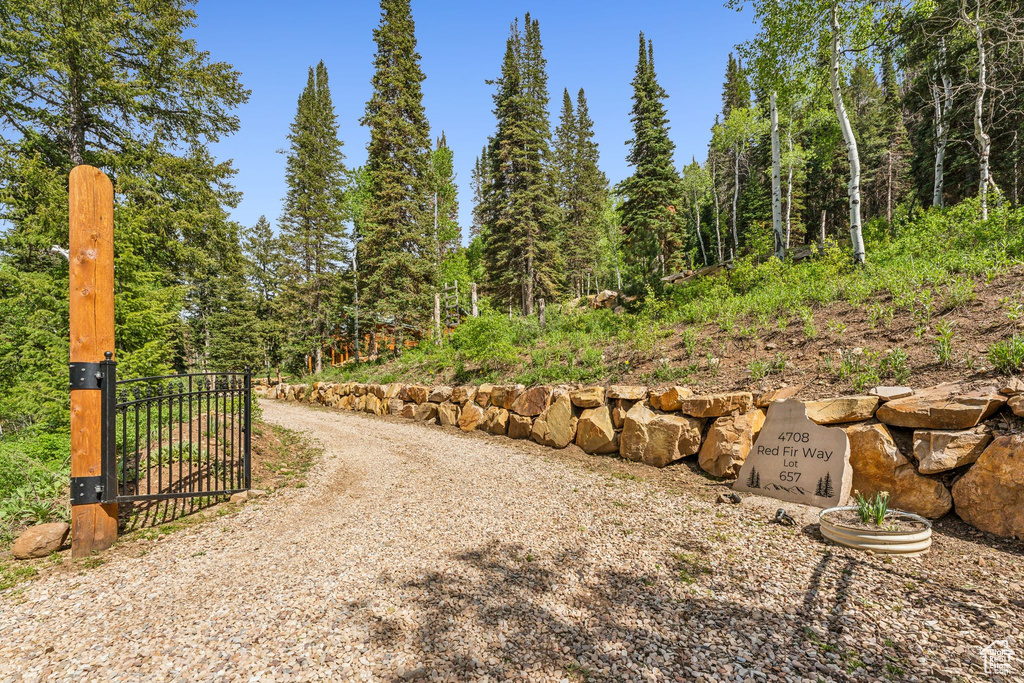 View of dirt / gravel driveway featuring a gate and a gated entry