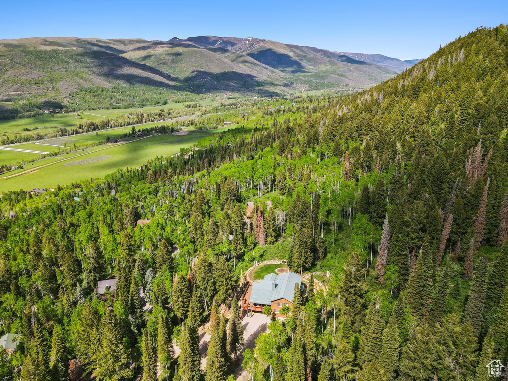 Mountain view featuring a heavily wooded area
