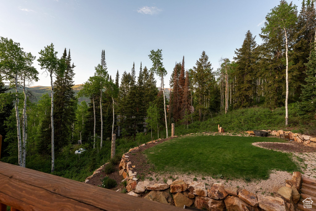 View of grassy yard