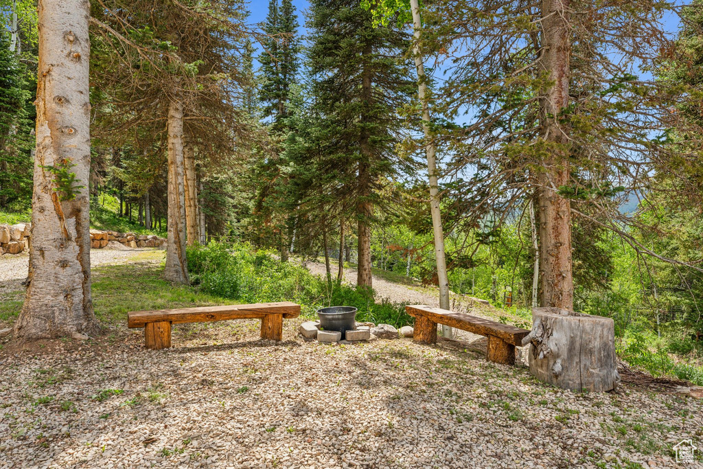 View of yard with a forest view