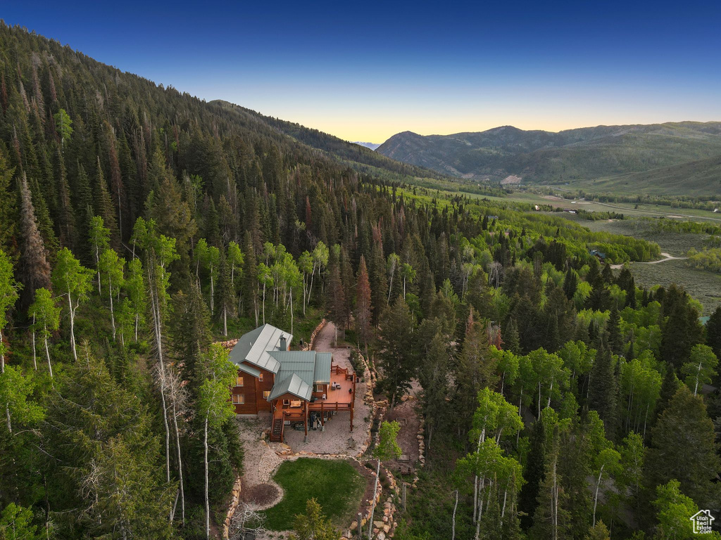 Aerial view at dusk of a forest view and a mountain view