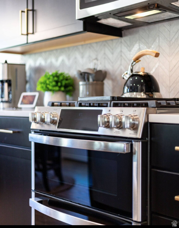 Detailed view of stainless steel gas range oven