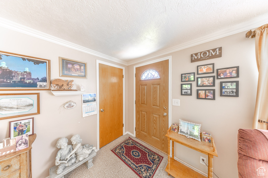 Foyer with ornamental molding, carpet, and a textured ceiling
