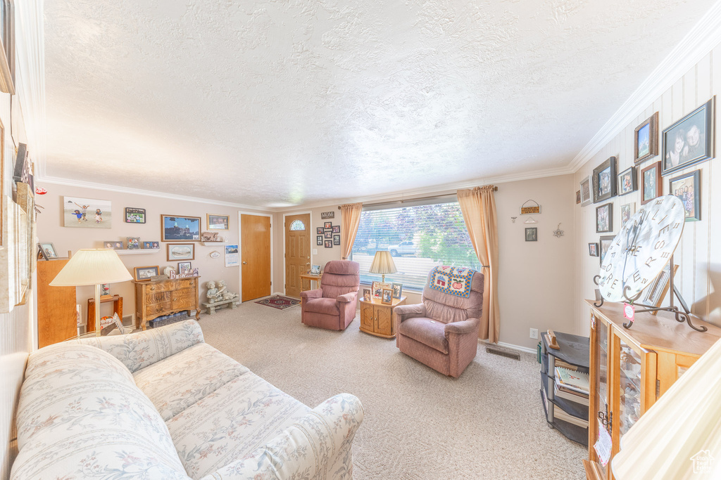 Carpeted living room with a textured ceiling and ornamental molding