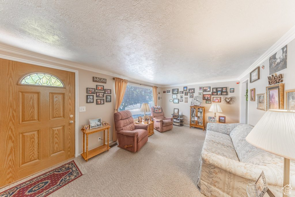 Living room with light carpet, crown molding, and a textured ceiling