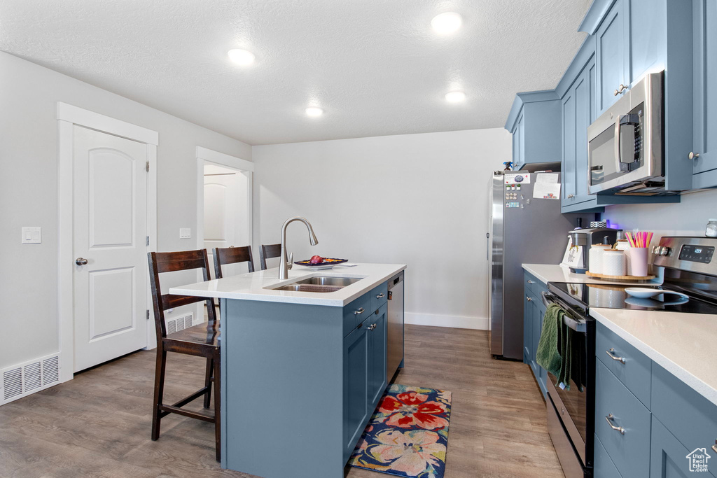 Kitchen featuring appliances with stainless steel finishes, a sink, blue cabinetry, a kitchen breakfast bar, and a center island with sink