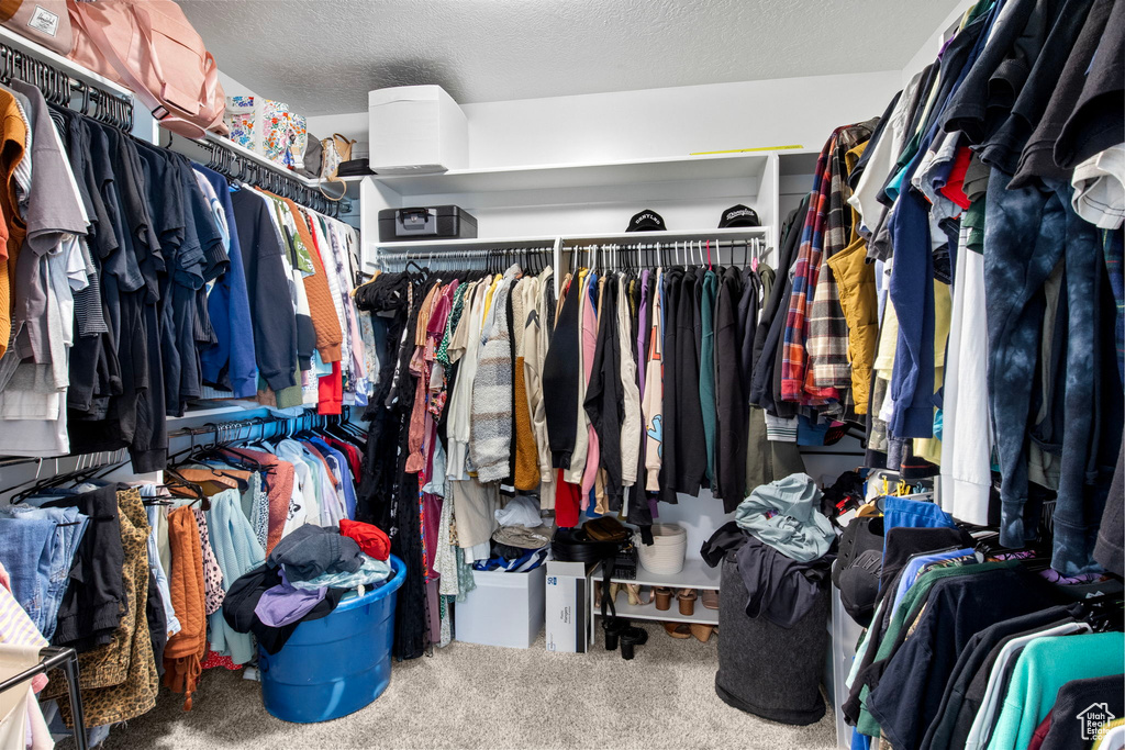 Walk in closet with carpet floors