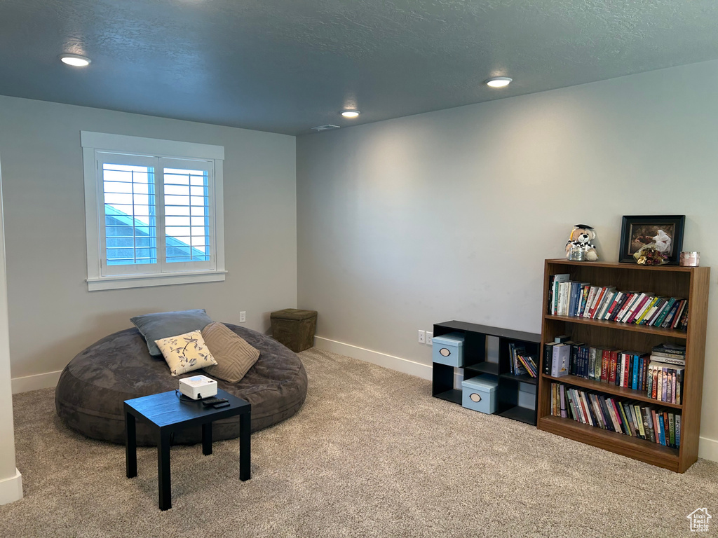 Living area with carpet floors and recessed lighting