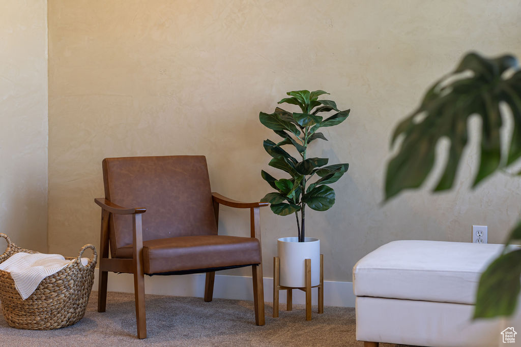 Living area featuring carpet