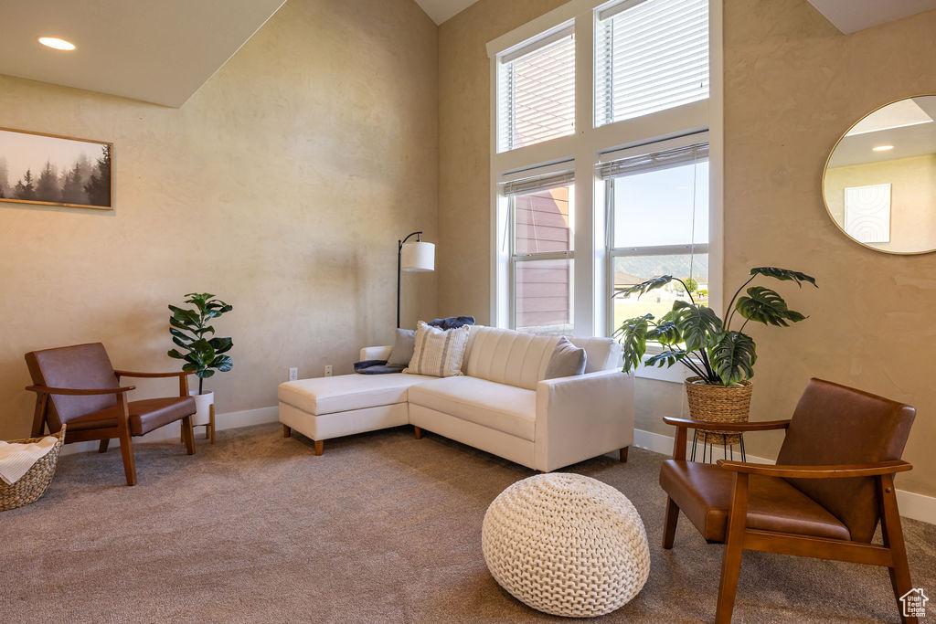 Living area featuring carpet, baseboards, and a high ceiling