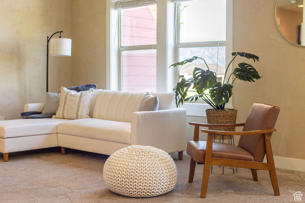 Carpeted living area with healthy amount of natural light