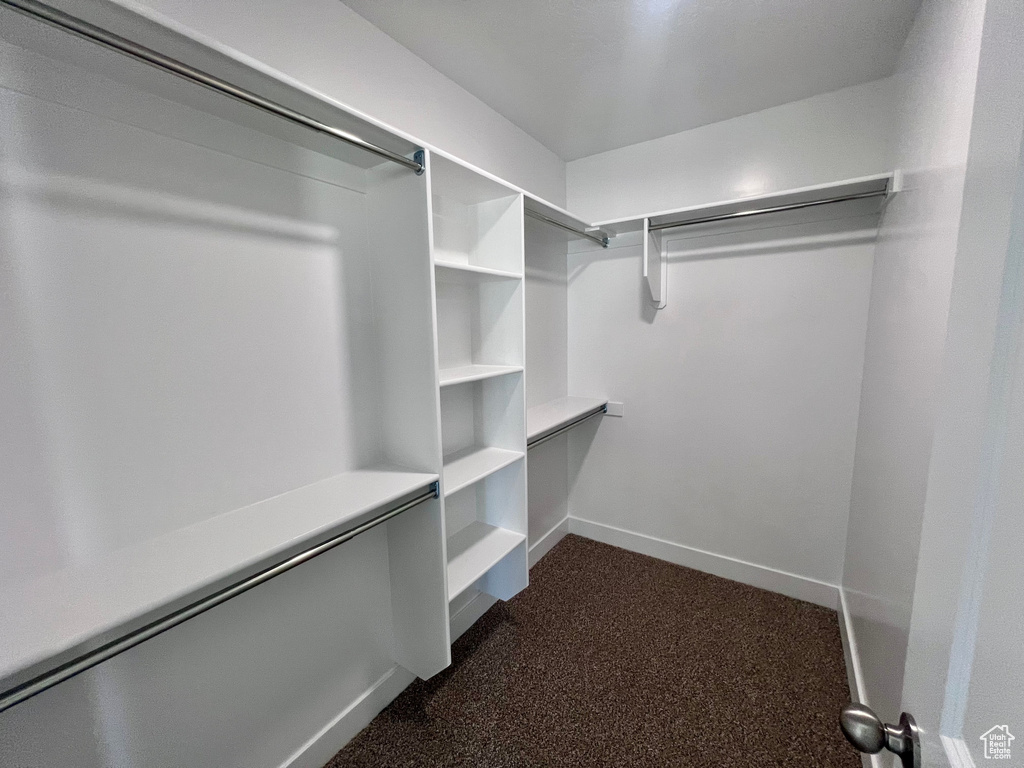 Spacious closet with dark colored carpet
