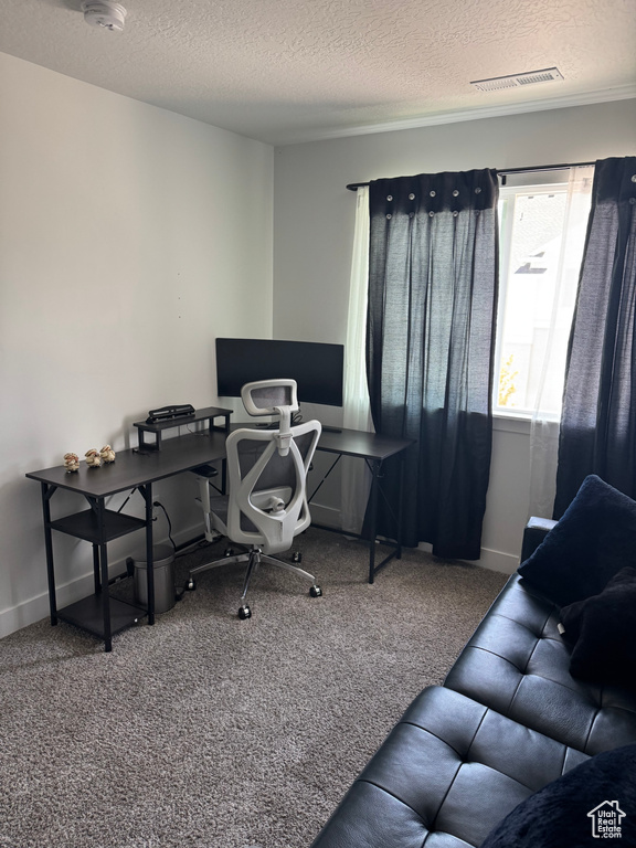 Carpeted office featuring a textured ceiling and baseboards