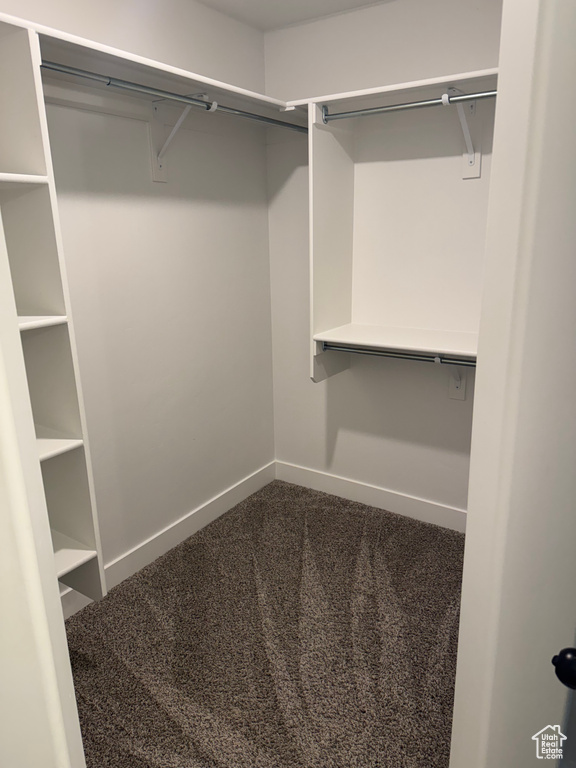 Spacious closet featuring dark carpet