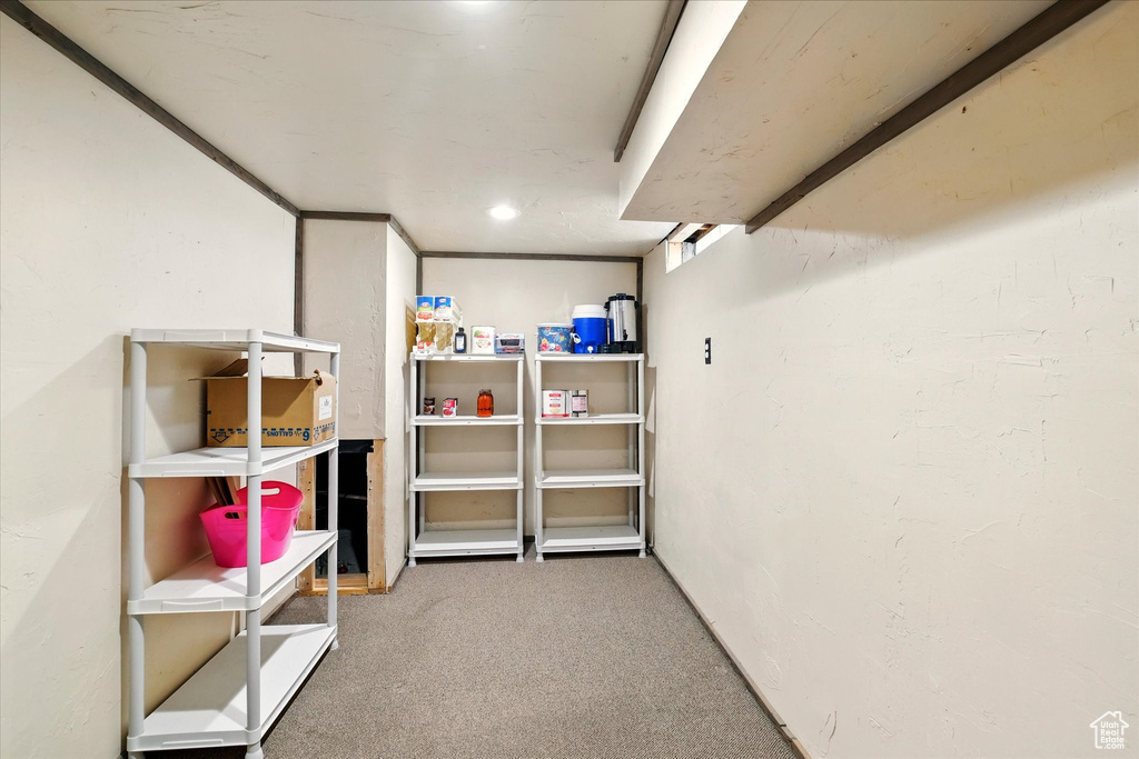 Finished below grade area with carpet flooring