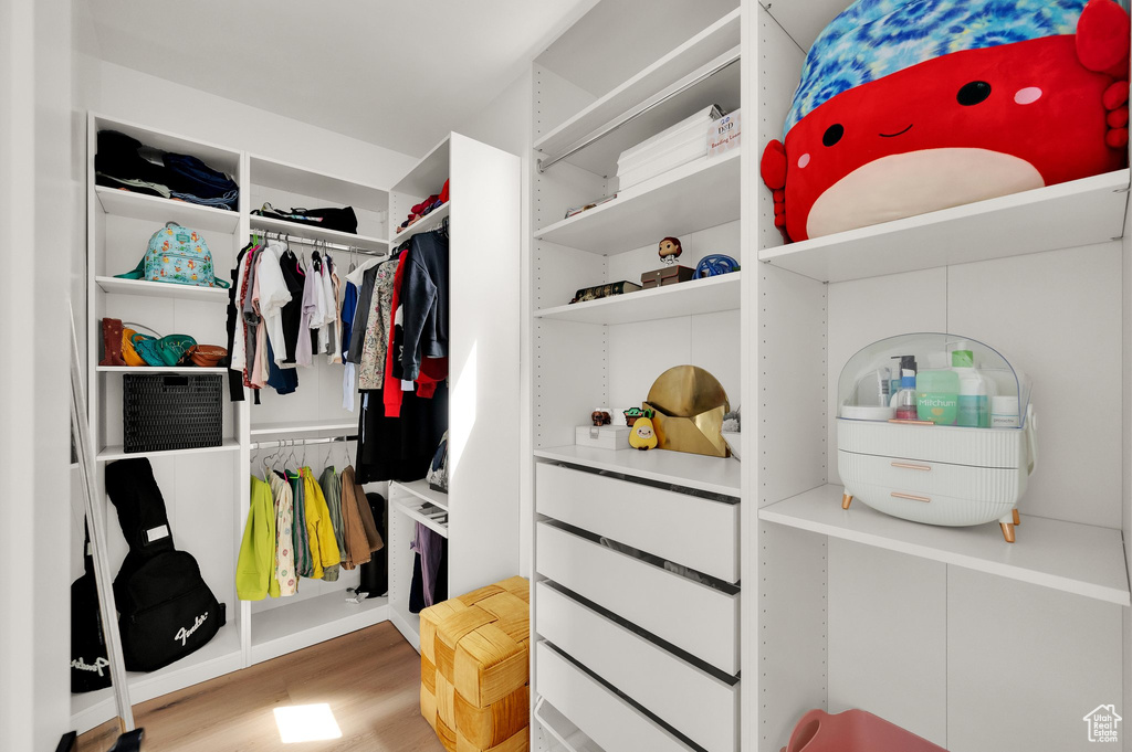 Spacious closet featuring wood finished floors