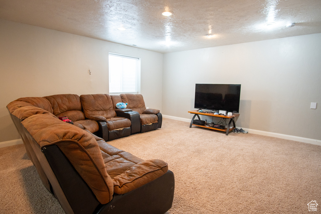 Carpeted living area featuring baseboards and a textured ceiling