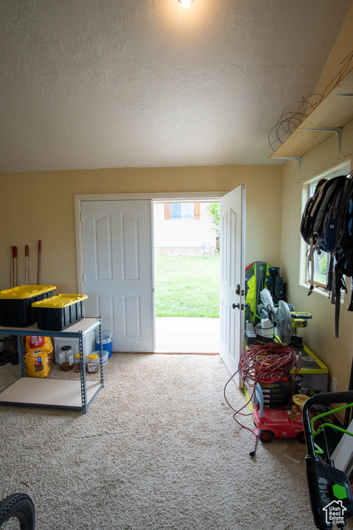 Rec room with plenty of natural light, carpet floors, and a textured ceiling