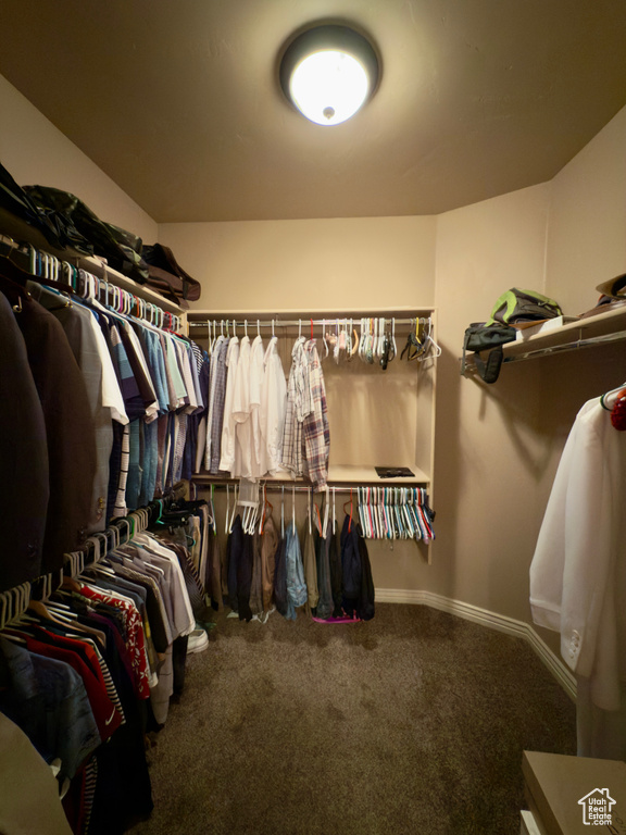 Spacious closet featuring carpet