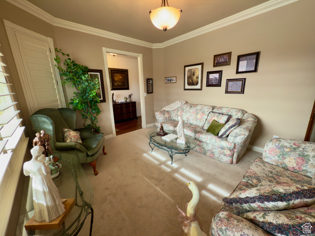 Living area with crown molding, carpet floors, and baseboards