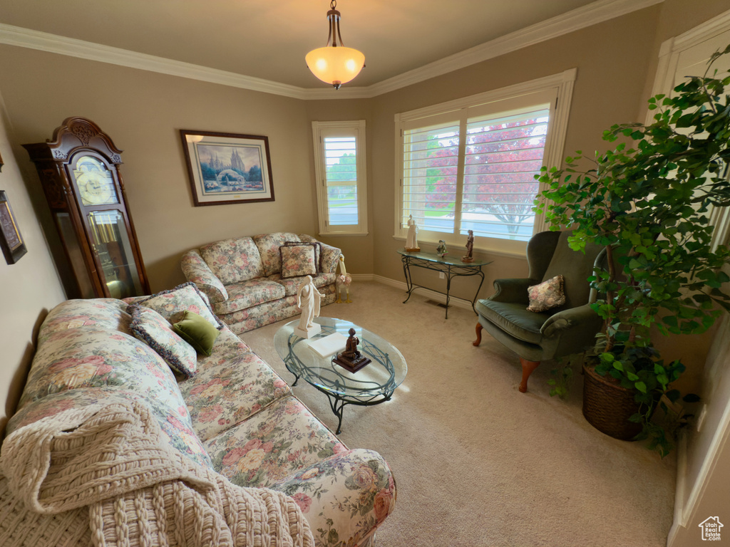 Living room featuring carpet floors, crown molding, and baseboards