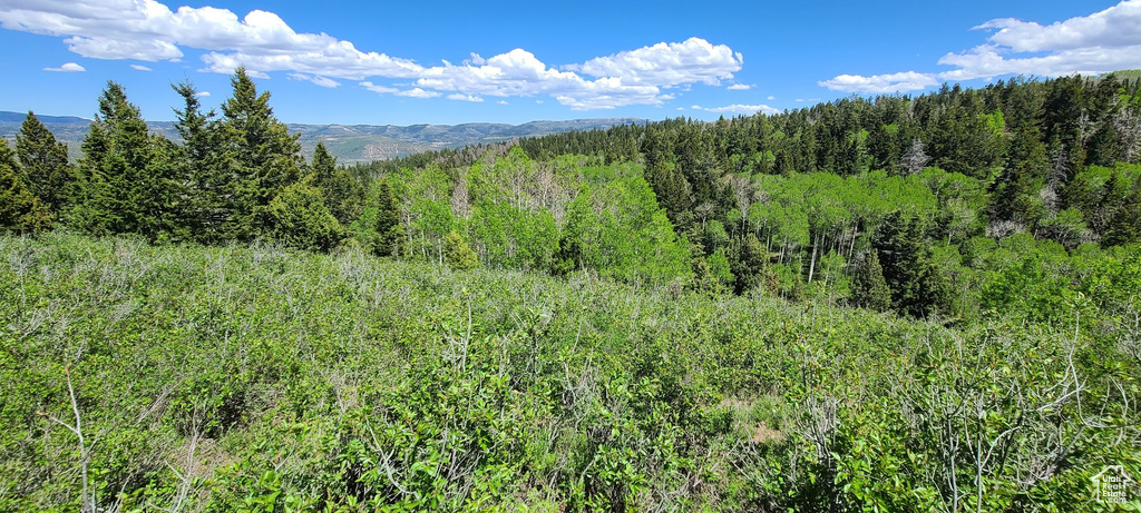 Mountain view featuring a forest