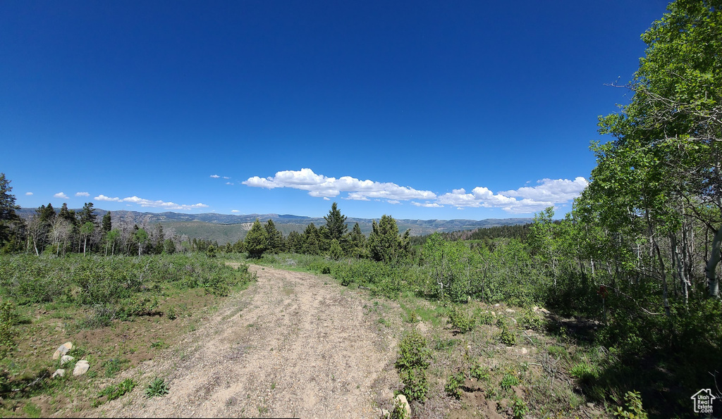 View of road featuring a mountain view