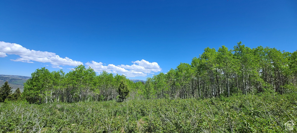 View of wooded area