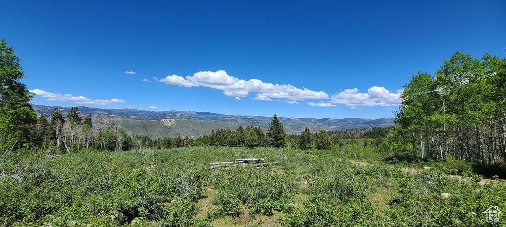 View of mountain background featuring a heavily wooded area