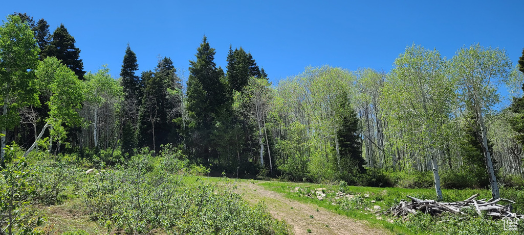View of wooded area