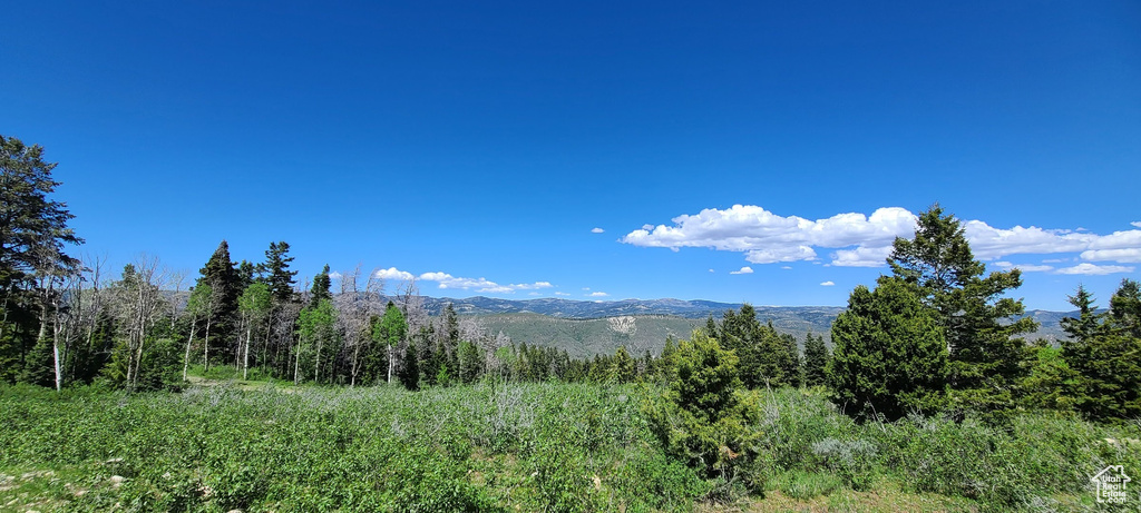 Mountain view