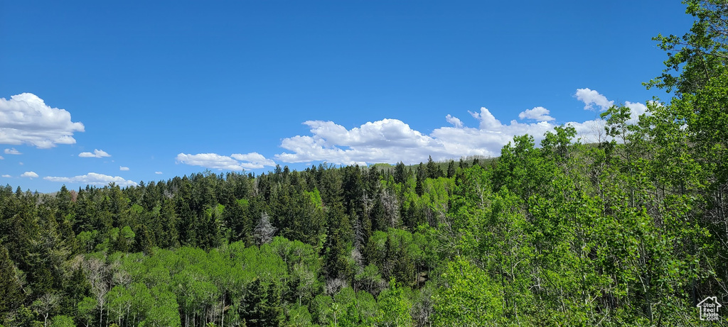 View of wooded area