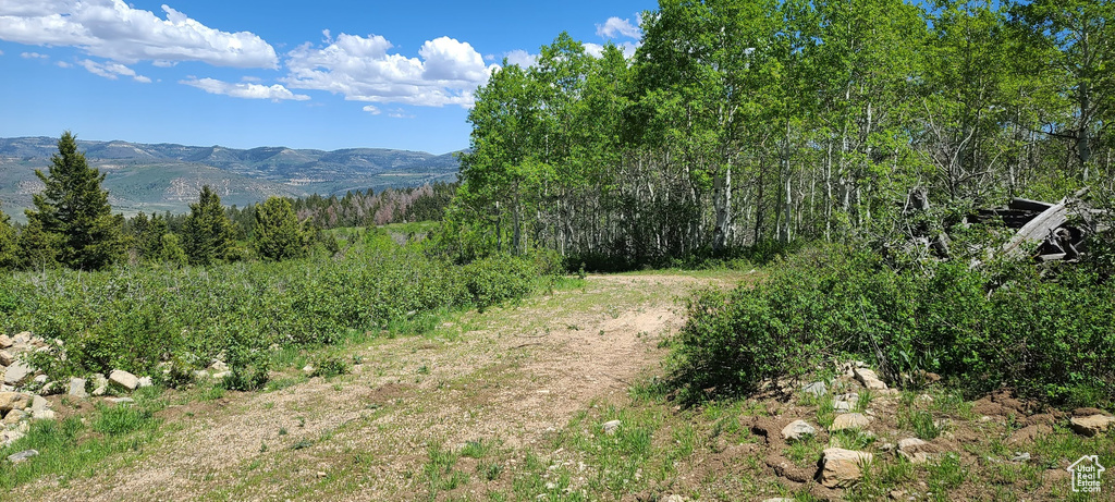View of mountain background with a forest