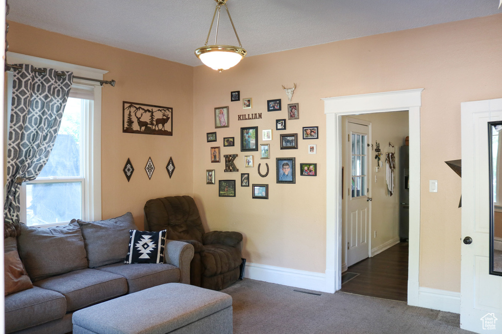 Carpeted living area with baseboards