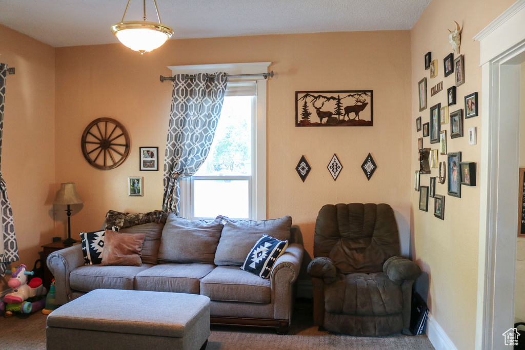 Living room with carpet floors
