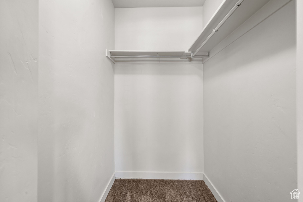 Walk in closet featuring carpet floors