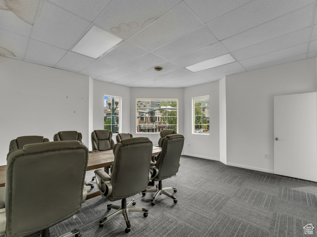 Office with a drop ceiling, carpet flooring, and baseboards
