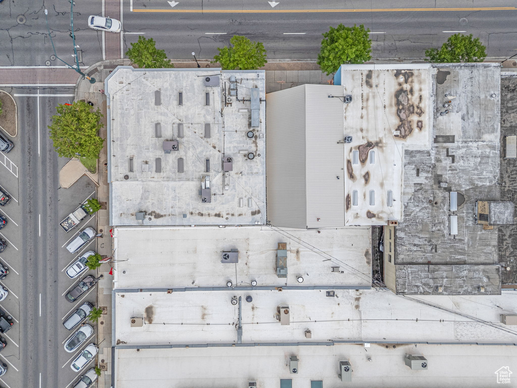 Bird\'s eye view