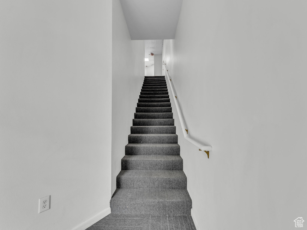 Stairs featuring baseboards and carpet floors