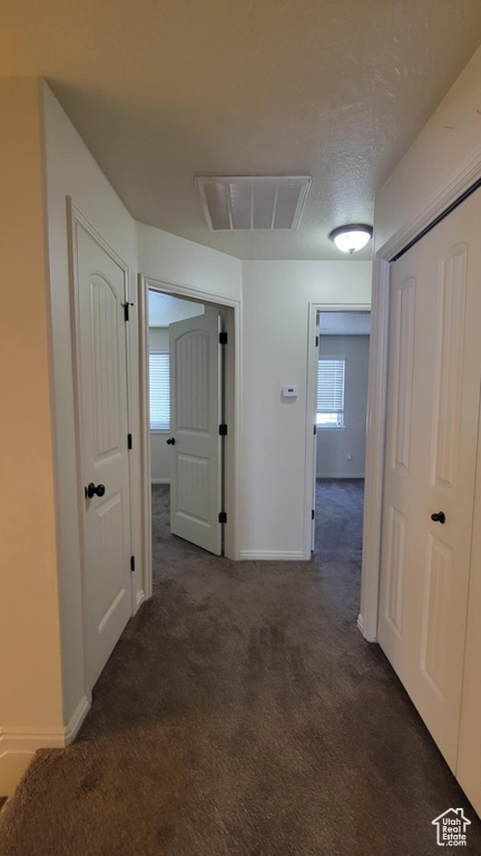 Corridor featuring carpet, baseboards, and plenty of natural light