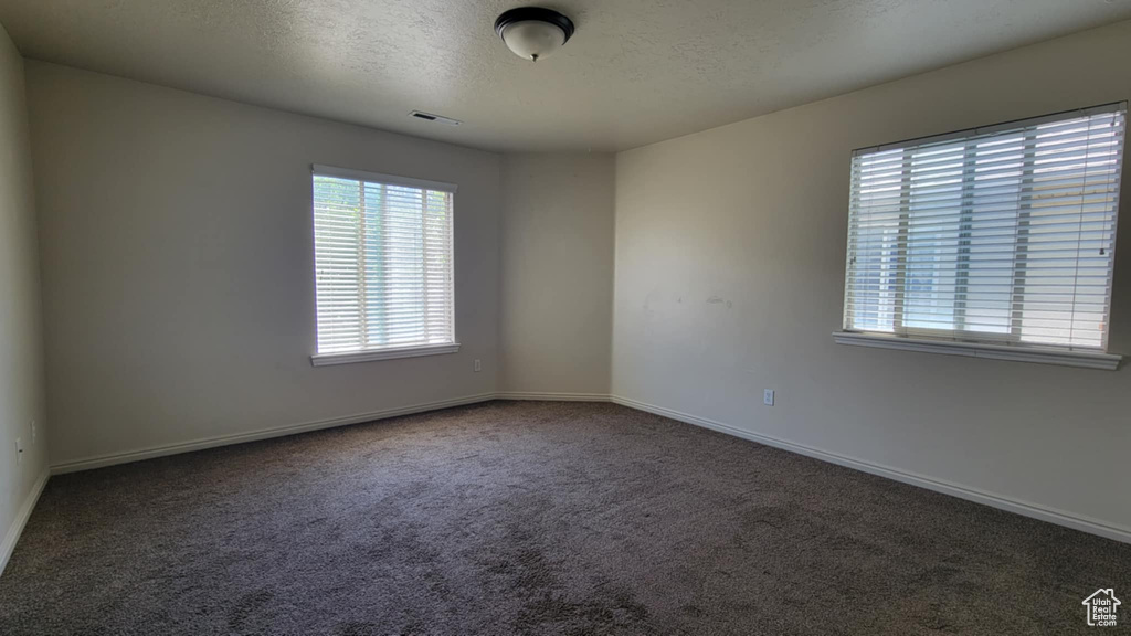 Spare room featuring plenty of natural light, carpet, a textured ceiling, and baseboards