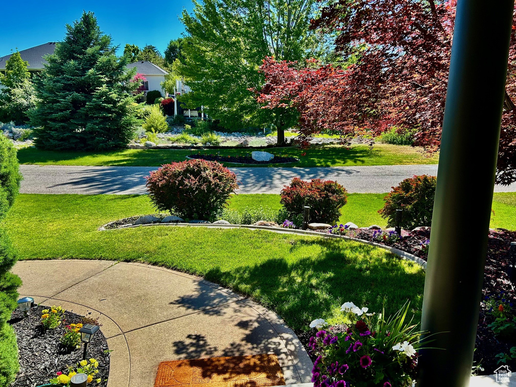 View of grassy yard