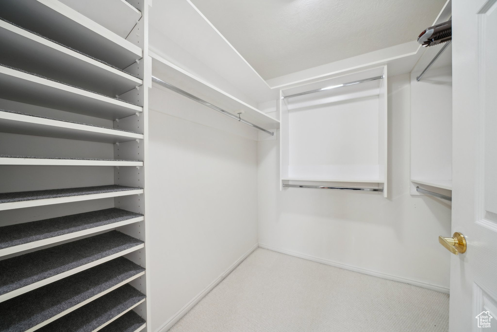 Spacious closet with carpet