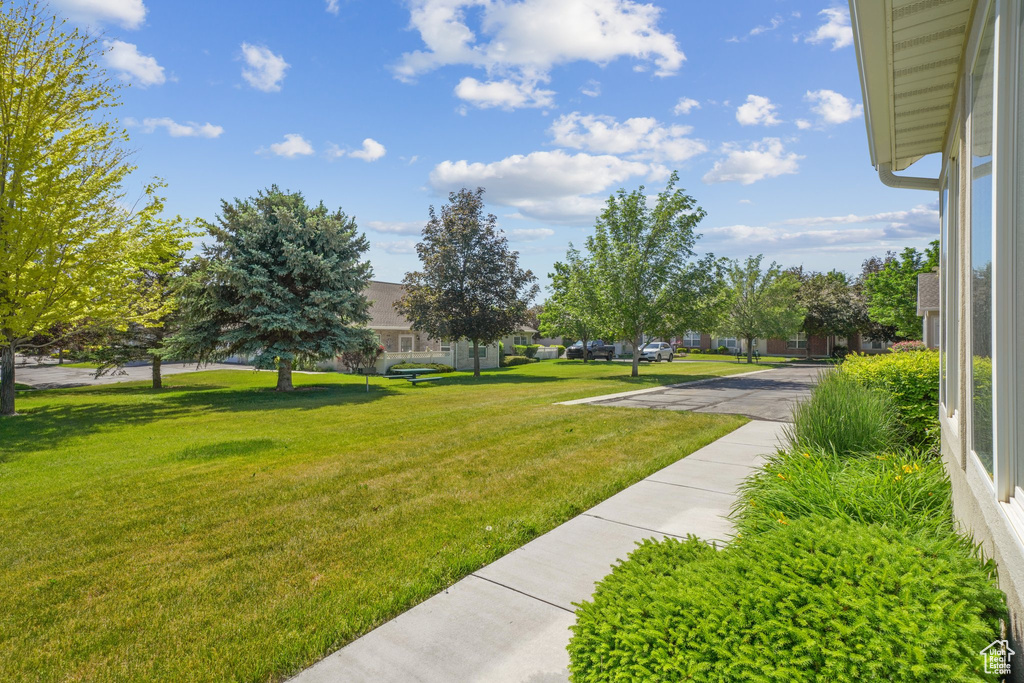 Surrounding community with a lawn