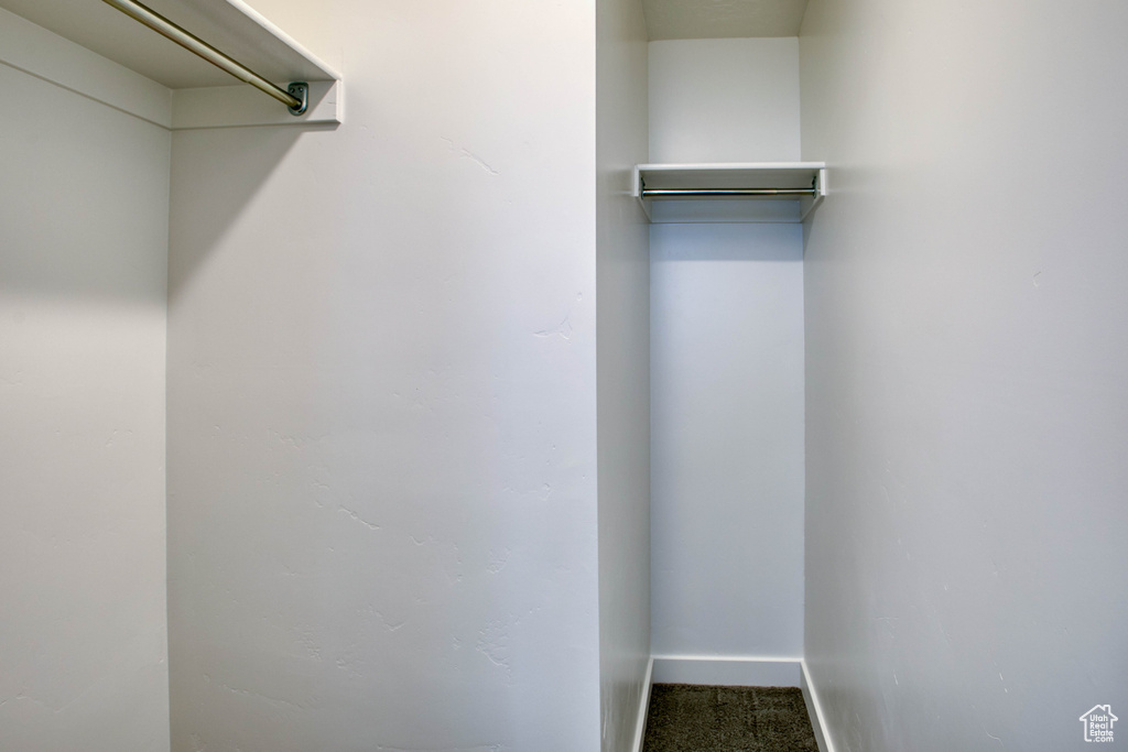 Walk in closet with carpet flooring