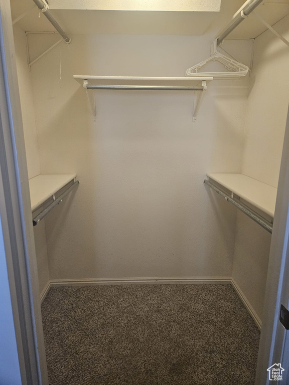 Walk in closet featuring carpet flooring