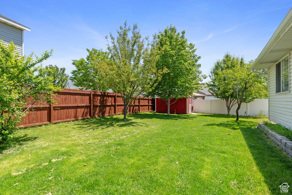 View of yard