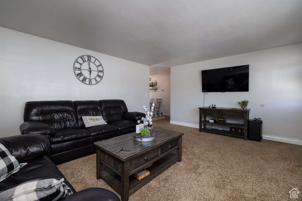 Living area featuring carpet floors and baseboards