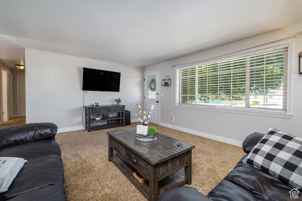 Living area featuring carpet floors, plenty of natural light, and baseboards